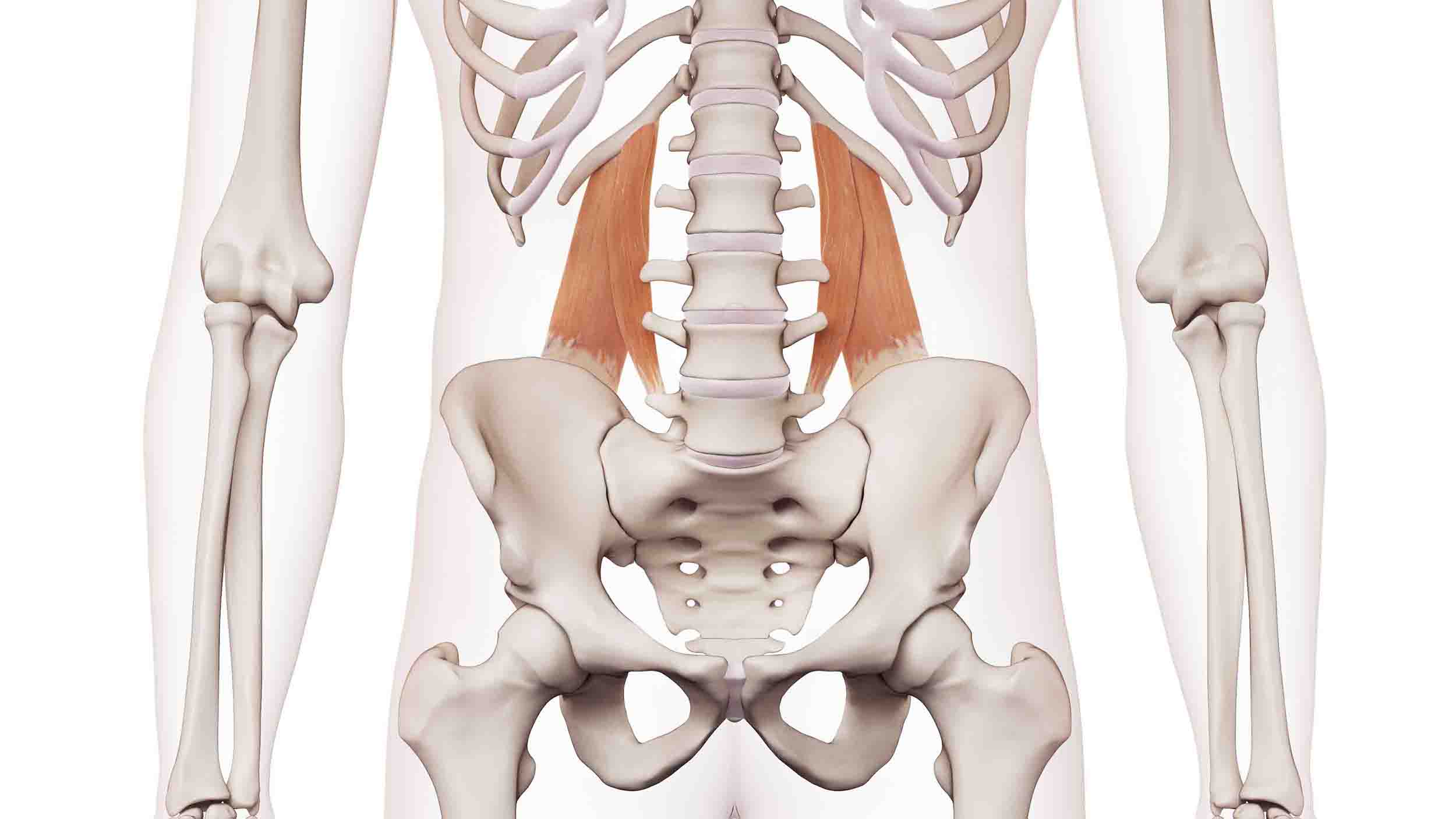 腰方形筋の痛みはどうやって予防するのですか？